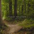 Ambulo - Forest Whispers
