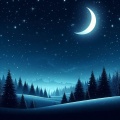 Quiet Night