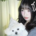 慢简爱