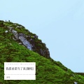 沐凡 - 我把承诺当了真