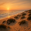 25 Atmospheric Nature Songs: Tide and Timber