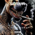 Sativa