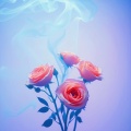 伊森 - 漫步人生路
