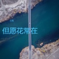 但愿花常在