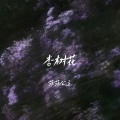 菲菲公主（陆绮菲） - 杏树花