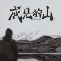 阿斌斌 - 成见的山