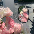 毋庸置疑