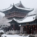 半片薄雪