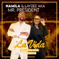 La Vida (Afro House Remix)