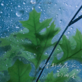 七顿、林俊宇Ayu - 塔斯马尼亚的雨季