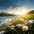Relaxing Instrumental Music、Simply Instrumental Music、Binaural Beats Brain Waves - The Restorative Breeze