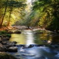 Relaxing Harmonies、My Melody、528Hz Repairs DNA - Flow Of The Mind