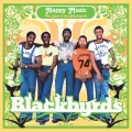 The Black byrds - Mysterious Vibes