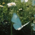 HOPERUI、Greyscale - Dear Spring