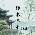 LiuPeanut - 弱水三千 (LiuPeanut remix)