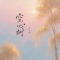 阿美呀 - 空心树