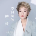 王娜 - 岁月匆匆如一梦