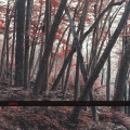 Abril