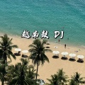 飞羽 - 越南鼓