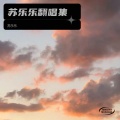 苏乐乐 - 如果忽远忽近的洒脱 (苏乐乐 remix)