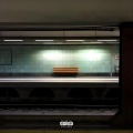 senza di me (Explicit)