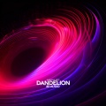 surround.、(((()))) - Dandelion