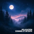 Musique Calme et Relaxation、Relaxation Sommeil et Détente、Musique de Relaxation - Présence Divine