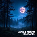 Musique Calme et Relaxation、Relaxation Sommeil et Détente、Musique de Relaxation - Murmures Sacrés