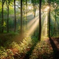 Music For Tranquil Spaces And Soft Energy
