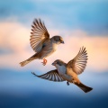 Music For Calm And Relaxing Spaces