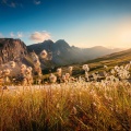 RELAX MUSIC BOX、Relaxing Nature Ambience、AUTUMN music - In The Peace, Time Slows Down