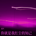 蓝天 - 相见恨晚的爱情也是很美丽
