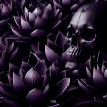 BL4CK LOTUS