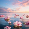 Lofi Relaxation For Spa Moments
