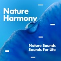Nature Harmony