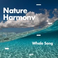 Nature Harmony