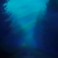 pxlse. - distorted memories
