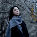 李荷 - 人间疾苦