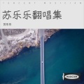 苏乐乐 - 初见她漫步溪桥下 (苏乐乐 remix)