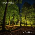 In The Night