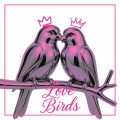Maybe Patrick - Love birds