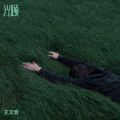 王文音 - 光顾