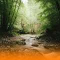 Soothing River And Birdsong With Ambient Healing Music And Gentle Piano For Inner Peace And Relaxation