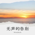 Wisray Studio - 无声的告别