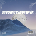 善良的我被你伤透