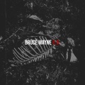 Bruce Wayne (Explicit)