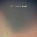 Sean Williams - Wake