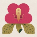My Hair is Bad - 愛着