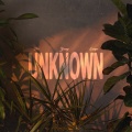 Unknown