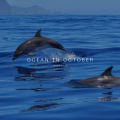 Ambulo - Ocean in October